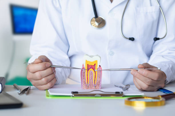 Best Knocked-Out Tooth Emergency  in Moonachie, NJ